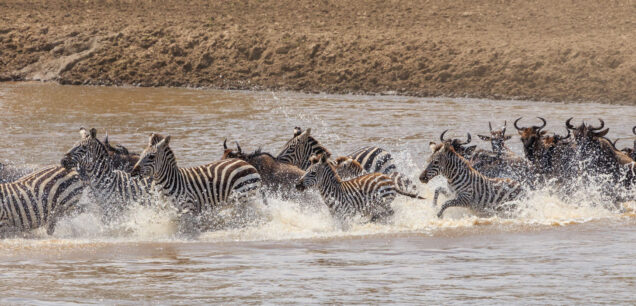 MAASAI MARA NATIONAL RESERVE