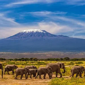 3 Days Amboseli Tour Package – Best Kenya Safari with Elephant Herds & Scenic Views