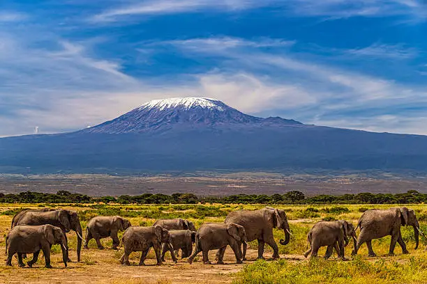 3 Days Amboseli Tour Package – Best Kenya Safari with Elephant Herds & Scenic Views