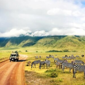 14 Days Kenya & Tanzania Safari: Amboseli, Aberdare, Samburu, Ol Pejeta, Lake Naivasha, Masai Mara, Serengeti, Ngorongoro & Tarangire/Manyara